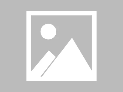 zeta stock: price, pltr stock, and fubo stock – What We Know